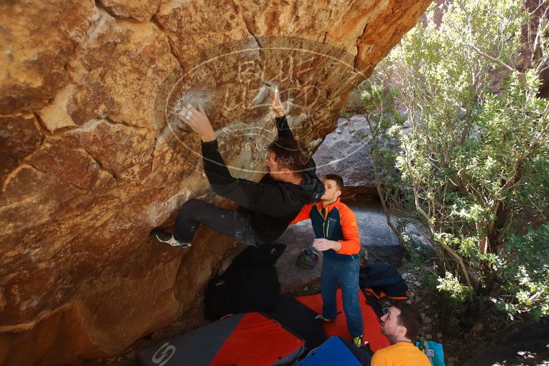 Bouldering in Hueco Tanks on 01/29/2020 with Blue Lizard Climbing and Yoga

Filename: SRM_20200129_1212430.jpg
Aperture: f/4.5
Shutter Speed: 1/250
Body: Canon EOS-1D Mark II
Lens: Canon EF 16-35mm f/2.8 L