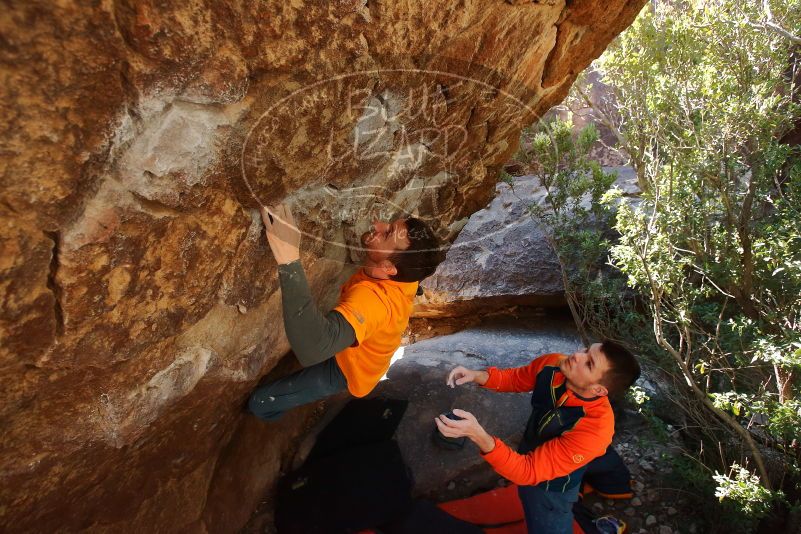 Bouldering in Hueco Tanks on 01/29/2020 with Blue Lizard Climbing and Yoga

Filename: SRM_20200129_1214420.jpg
Aperture: f/5.0
Shutter Speed: 1/250
Body: Canon EOS-1D Mark II
Lens: Canon EF 16-35mm f/2.8 L