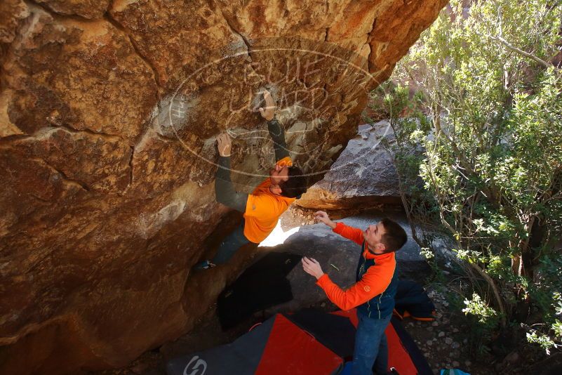 Bouldering in Hueco Tanks on 01/29/2020 with Blue Lizard Climbing and Yoga

Filename: SRM_20200129_1221410.jpg
Aperture: f/5.0
Shutter Speed: 1/250
Body: Canon EOS-1D Mark II
Lens: Canon EF 16-35mm f/2.8 L