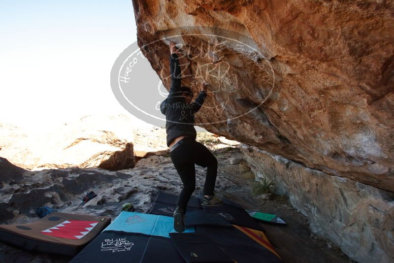 Bouldering in Hueco Tanks on 02/01/2020 with Blue Lizard Climbing and Yoga

Filename: SRM_20200201_1047080.jpg
Aperture: f/7.1
Shutter Speed: 1/250
Body: Canon EOS-1D Mark II
Lens: Canon EF 16-35mm f/2.8 L