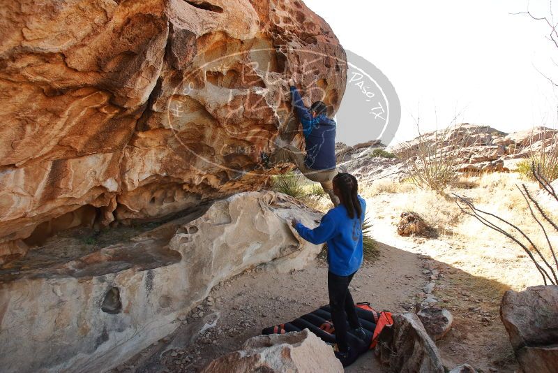 Bouldering in Hueco Tanks on 02/01/2020 with Blue Lizard Climbing and Yoga

Filename: SRM_20200201_1059420.jpg
Aperture: f/5.6
Shutter Speed: 1/250
Body: Canon EOS-1D Mark II
Lens: Canon EF 16-35mm f/2.8 L