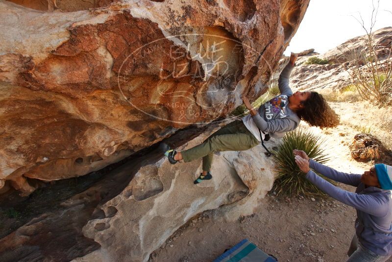 Bouldering in Hueco Tanks on 02/01/2020 with Blue Lizard Climbing and Yoga

Filename: SRM_20200201_1109520.jpg
Aperture: f/6.3
Shutter Speed: 1/250
Body: Canon EOS-1D Mark II
Lens: Canon EF 16-35mm f/2.8 L