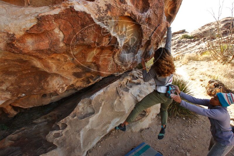 Bouldering in Hueco Tanks on 02/01/2020 with Blue Lizard Climbing and Yoga

Filename: SRM_20200201_1109530.jpg
Aperture: f/6.3
Shutter Speed: 1/250
Body: Canon EOS-1D Mark II
Lens: Canon EF 16-35mm f/2.8 L