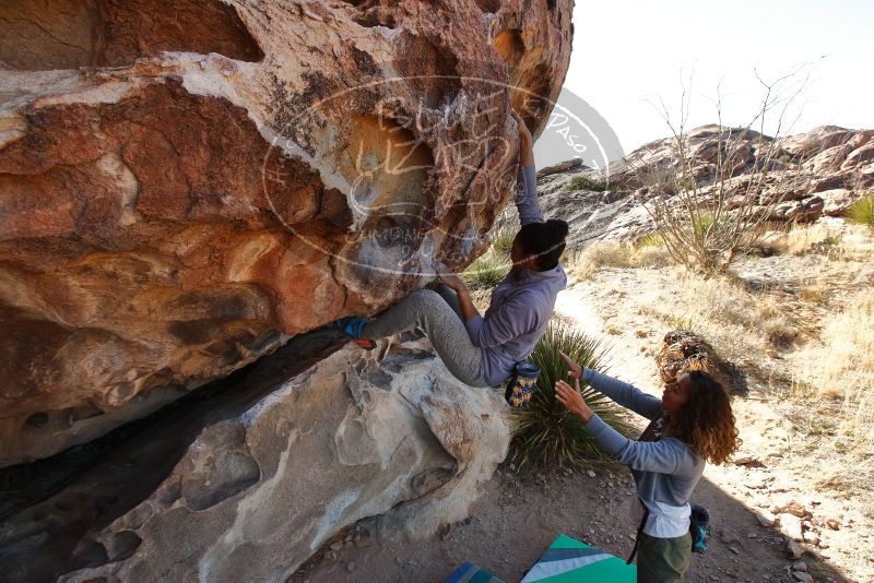 Bouldering in Hueco Tanks on 02/01/2020 with Blue Lizard Climbing and Yoga

Filename: SRM_20200201_1116360.jpg
Aperture: f/7.1
Shutter Speed: 1/250
Body: Canon EOS-1D Mark II
Lens: Canon EF 16-35mm f/2.8 L