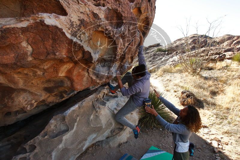 Bouldering in Hueco Tanks on 02/01/2020 with Blue Lizard Climbing and Yoga

Filename: SRM_20200201_1116390.jpg
Aperture: f/7.1
Shutter Speed: 1/250
Body: Canon EOS-1D Mark II
Lens: Canon EF 16-35mm f/2.8 L