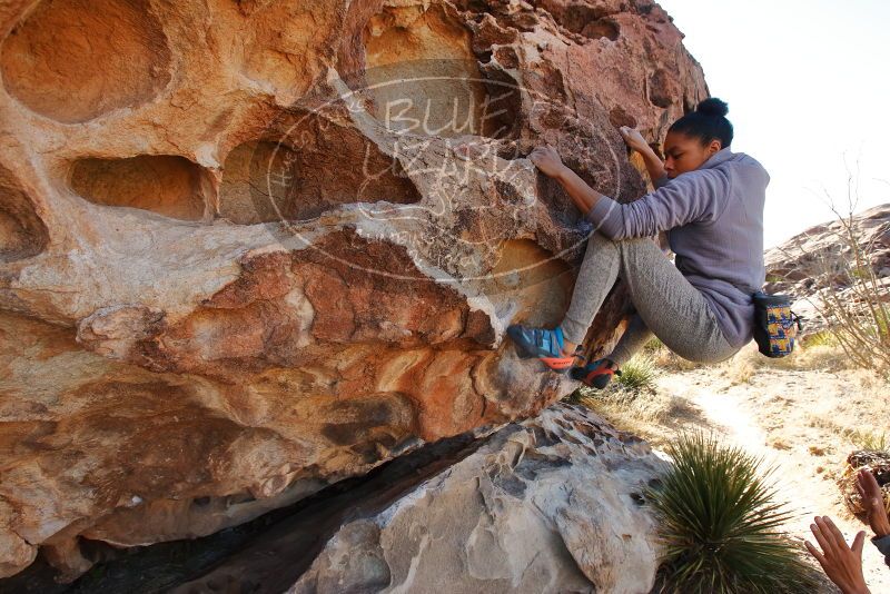 Bouldering in Hueco Tanks on 02/01/2020 with Blue Lizard Climbing and Yoga

Filename: SRM_20200201_1117000.jpg
Aperture: f/6.3
Shutter Speed: 1/250
Body: Canon EOS-1D Mark II
Lens: Canon EF 16-35mm f/2.8 L