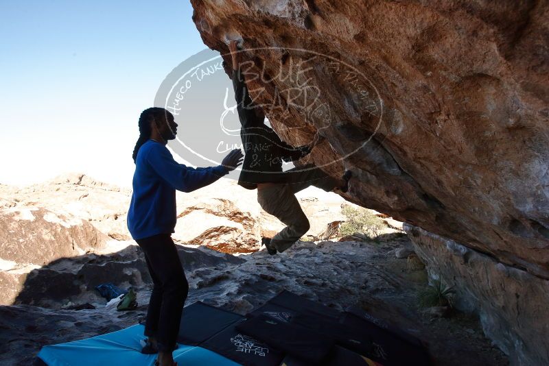 Bouldering in Hueco Tanks on 02/01/2020 with Blue Lizard Climbing and Yoga

Filename: SRM_20200201_1121400.jpg
Aperture: f/8.0
Shutter Speed: 1/250
Body: Canon EOS-1D Mark II
Lens: Canon EF 16-35mm f/2.8 L