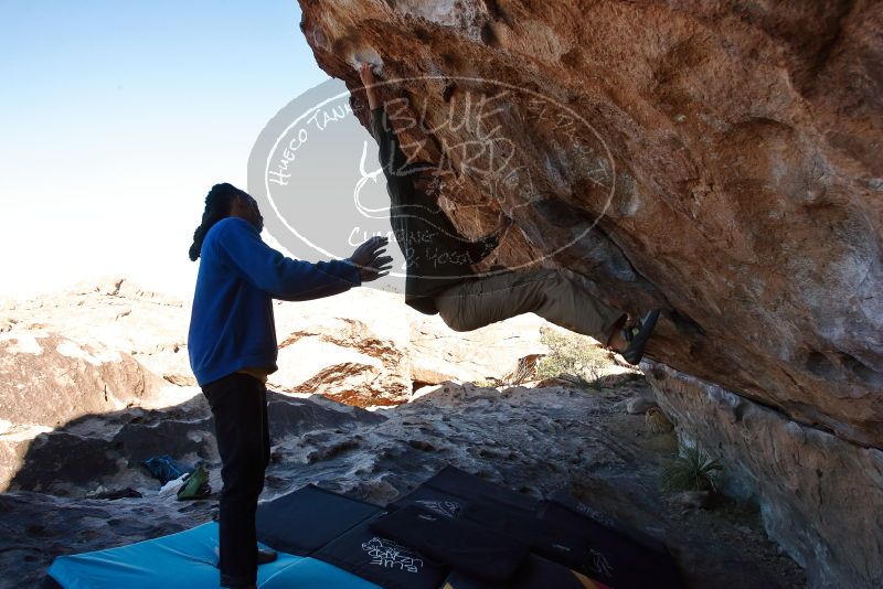 Bouldering in Hueco Tanks on 02/01/2020 with Blue Lizard Climbing and Yoga

Filename: SRM_20200201_1121401.jpg
Aperture: f/7.1
Shutter Speed: 1/250
Body: Canon EOS-1D Mark II
Lens: Canon EF 16-35mm f/2.8 L