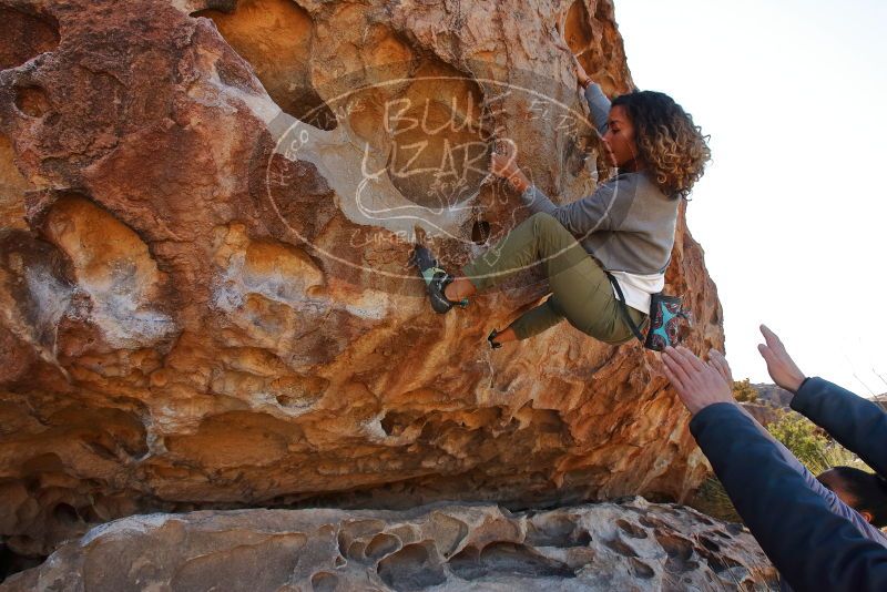 Bouldering in Hueco Tanks on 02/01/2020 with Blue Lizard Climbing and Yoga

Filename: SRM_20200201_1121500.jpg
Aperture: f/7.1
Shutter Speed: 1/250
Body: Canon EOS-1D Mark II
Lens: Canon EF 16-35mm f/2.8 L