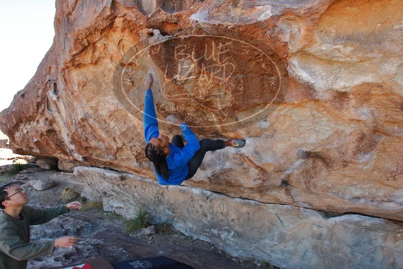 Bouldering in Hueco Tanks on 02/01/2020 with Blue Lizard Climbing and Yoga

Filename: SRM_20200201_1125190.jpg
Aperture: f/6.3
Shutter Speed: 1/250
Body: Canon EOS-1D Mark II
Lens: Canon EF 16-35mm f/2.8 L