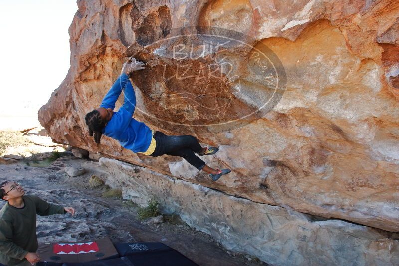 Bouldering in Hueco Tanks on 02/01/2020 with Blue Lizard Climbing and Yoga

Filename: SRM_20200201_1125250.jpg
Aperture: f/7.1
Shutter Speed: 1/250
Body: Canon EOS-1D Mark II
Lens: Canon EF 16-35mm f/2.8 L