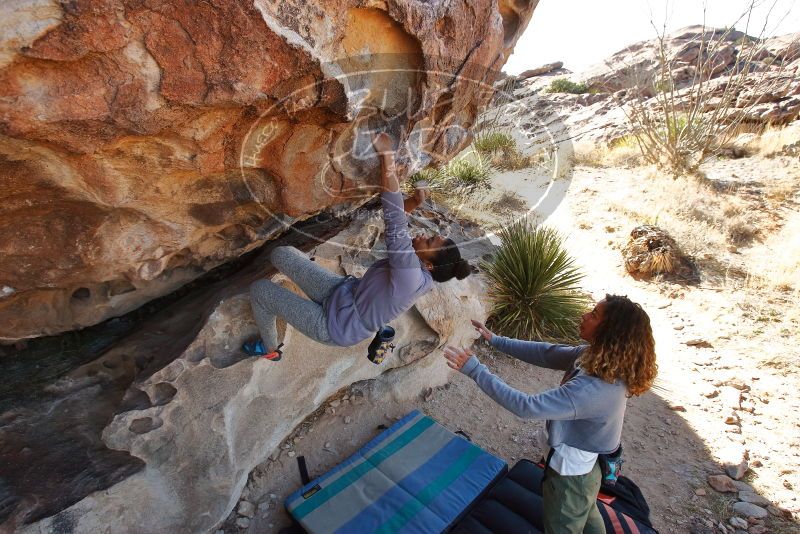 Bouldering in Hueco Tanks on 02/01/2020 with Blue Lizard Climbing and Yoga

Filename: SRM_20200201_1129500.jpg
Aperture: f/5.6
Shutter Speed: 1/250
Body: Canon EOS-1D Mark II
Lens: Canon EF 16-35mm f/2.8 L