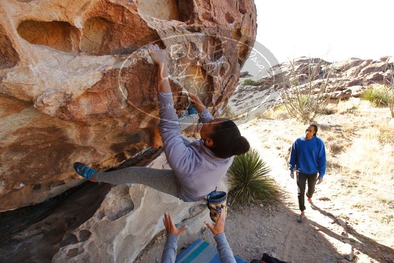 Bouldering in Hueco Tanks on 02/01/2020 with Blue Lizard Climbing and Yoga

Filename: SRM_20200201_1130060.jpg
Aperture: f/5.6
Shutter Speed: 1/250
Body: Canon EOS-1D Mark II
Lens: Canon EF 16-35mm f/2.8 L