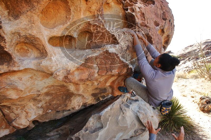 Bouldering in Hueco Tanks on 02/01/2020 with Blue Lizard Climbing and Yoga

Filename: SRM_20200201_1130110.jpg
Aperture: f/5.6
Shutter Speed: 1/250
Body: Canon EOS-1D Mark II
Lens: Canon EF 16-35mm f/2.8 L