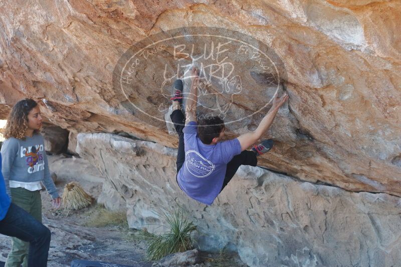 Bouldering in Hueco Tanks on 02/01/2020 with Blue Lizard Climbing and Yoga

Filename: SRM_20200201_1135440.jpg
Aperture: f/3.5
Shutter Speed: 1/250
Body: Canon EOS-1D Mark II
Lens: Canon EF 50mm f/1.8 II