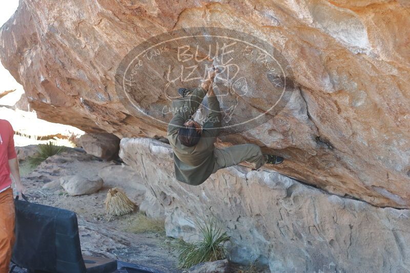 Bouldering in Hueco Tanks on 02/01/2020 with Blue Lizard Climbing and Yoga

Filename: SRM_20200201_1143300.jpg
Aperture: f/3.2
Shutter Speed: 1/250
Body: Canon EOS-1D Mark II
Lens: Canon EF 50mm f/1.8 II