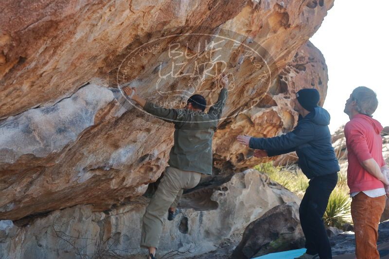 Bouldering in Hueco Tanks on 02/01/2020 with Blue Lizard Climbing and Yoga

Filename: SRM_20200201_1157500.jpg
Aperture: f/4.5
Shutter Speed: 1/250
Body: Canon EOS-1D Mark II
Lens: Canon EF 50mm f/1.8 II