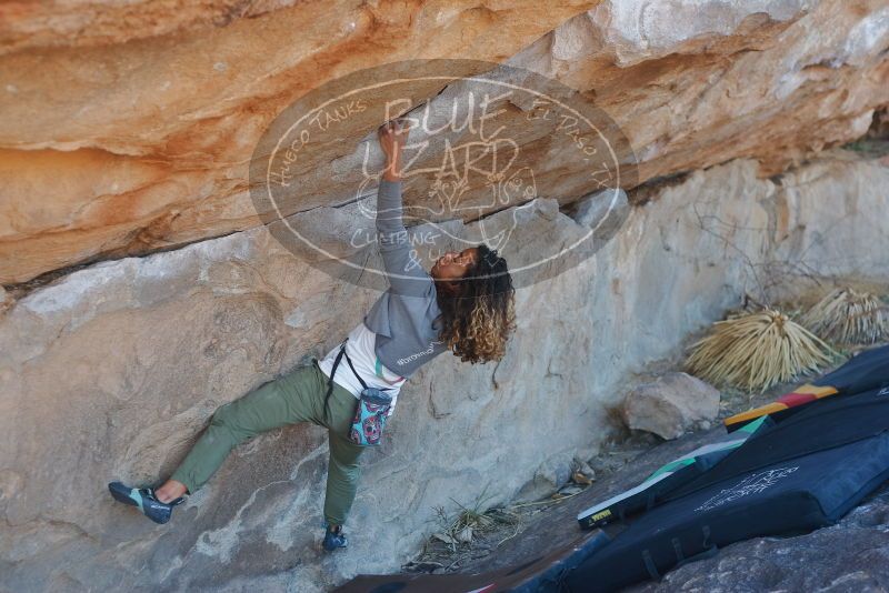 Bouldering in Hueco Tanks on 02/01/2020 with Blue Lizard Climbing and Yoga

Filename: SRM_20200201_1158410.jpg
Aperture: f/3.2
Shutter Speed: 1/250
Body: Canon EOS-1D Mark II
Lens: Canon EF 50mm f/1.8 II