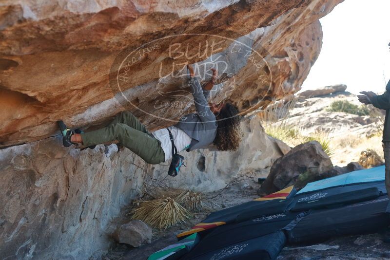 Bouldering in Hueco Tanks on 02/01/2020 with Blue Lizard Climbing and Yoga

Filename: SRM_20200201_1158550.jpg
Aperture: f/4.5
Shutter Speed: 1/250
Body: Canon EOS-1D Mark II
Lens: Canon EF 50mm f/1.8 II