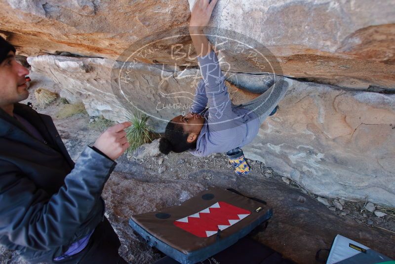 Bouldering in Hueco Tanks on 02/01/2020 with Blue Lizard Climbing and Yoga

Filename: SRM_20200201_1213140.jpg
Aperture: f/4.0
Shutter Speed: 1/250
Body: Canon EOS-1D Mark II
Lens: Canon EF 16-35mm f/2.8 L