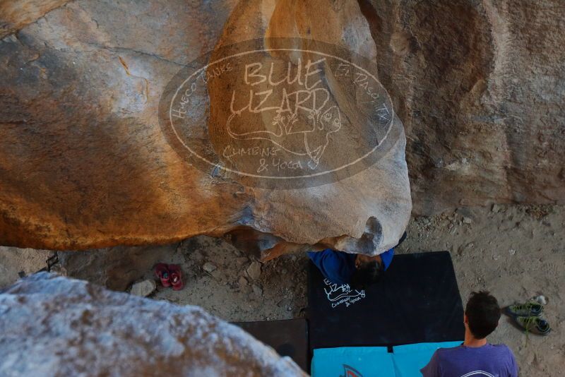 Bouldering in Hueco Tanks on 02/01/2020 with Blue Lizard Climbing and Yoga

Filename: SRM_20200201_1437050.jpg
Aperture: f/4.0
Shutter Speed: 1/250
Body: Canon EOS-1D Mark II
Lens: Canon EF 16-35mm f/2.8 L