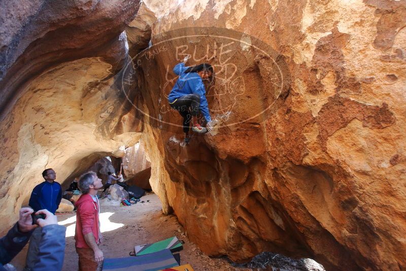 Bouldering in Hueco Tanks on 02/01/2020 with Blue Lizard Climbing and Yoga

Filename: SRM_20200201_1516300.jpg
Aperture: f/5.0
Shutter Speed: 1/250
Body: Canon EOS-1D Mark II
Lens: Canon EF 16-35mm f/2.8 L