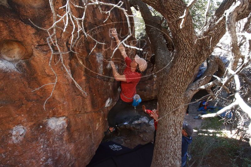 Bouldering in Hueco Tanks on 02/08/2020 with Blue Lizard Climbing and Yoga

Filename: SRM_20200208_1125510.jpg
Aperture: f/6.3
Shutter Speed: 1/250
Body: Canon EOS-1D Mark II
Lens: Canon EF 16-35mm f/2.8 L