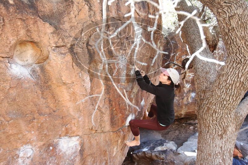 Bouldering in Hueco Tanks on 02/08/2020 with Blue Lizard Climbing and Yoga

Filename: SRM_20200208_1127480.jpg
Aperture: f/4.0
Shutter Speed: 1/250
Body: Canon EOS-1D Mark II
Lens: Canon EF 16-35mm f/2.8 L