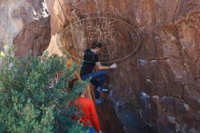 Bouldering in Hueco Tanks on 02/08/2020 with Blue Lizard Climbing and Yoga

Filename: SRM_20200208_1249120.jpg
Aperture: f/4.0
Shutter Speed: 1/250
Body: Canon EOS-1D Mark II
Lens: Canon EF 50mm f/1.8 II