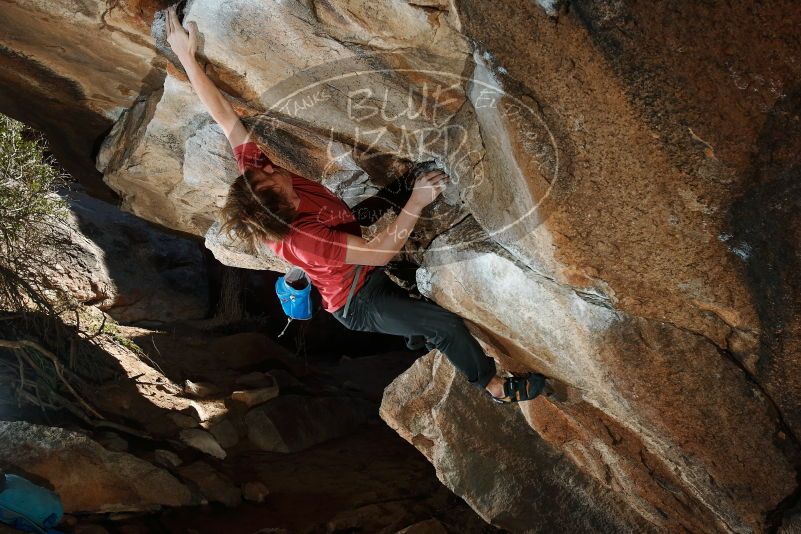 Bouldering in Hueco Tanks on 02/08/2020 with Blue Lizard Climbing and Yoga

Filename: SRM_20200208_1541310.jpg
Aperture: f/8.0
Shutter Speed: 1/250
Body: Canon EOS-1D Mark II
Lens: Canon EF 16-35mm f/2.8 L