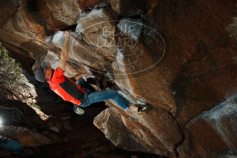 Bouldering in Hueco Tanks on 02/08/2020 with Blue Lizard Climbing and Yoga

Filename: SRM_20200208_1548230.jpg
Aperture: f/8.0
Shutter Speed: 1/250
Body: Canon EOS-1D Mark II
Lens: Canon EF 16-35mm f/2.8 L