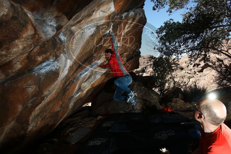 Bouldering in Hueco Tanks on 02/08/2020 with Blue Lizard Climbing and Yoga

Filename: SRM_20200208_1612110.jpg
Aperture: f/8.0
Shutter Speed: 1/250
Body: Canon EOS-1D Mark II
Lens: Canon EF 16-35mm f/2.8 L