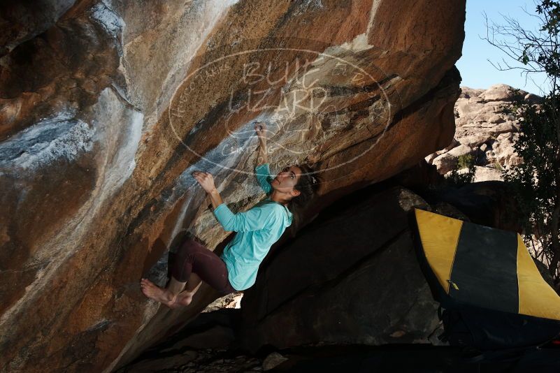 Bouldering in Hueco Tanks on 02/08/2020 with Blue Lizard Climbing and Yoga

Filename: SRM_20200208_1613320.jpg
Aperture: f/8.0
Shutter Speed: 1/250
Body: Canon EOS-1D Mark II
Lens: Canon EF 16-35mm f/2.8 L