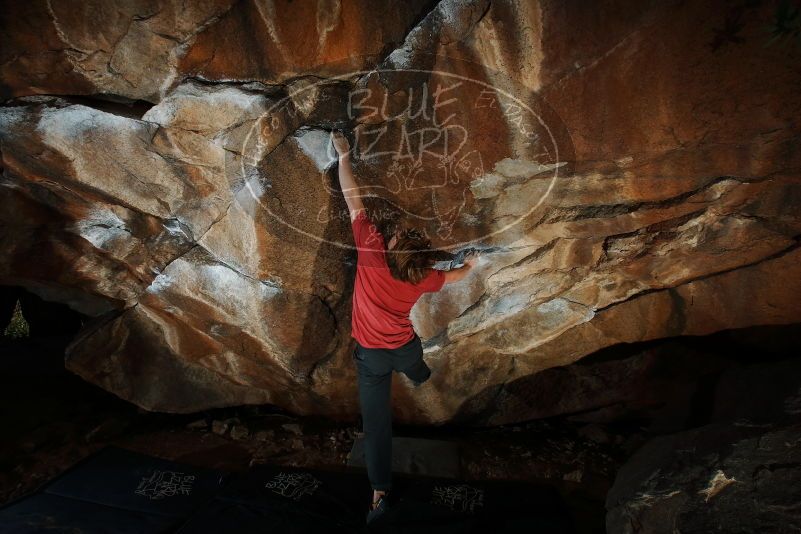 Bouldering in Hueco Tanks on 02/08/2020 with Blue Lizard Climbing and Yoga

Filename: SRM_20200208_1620540.jpg
Aperture: f/8.0
Shutter Speed: 1/250
Body: Canon EOS-1D Mark II
Lens: Canon EF 16-35mm f/2.8 L