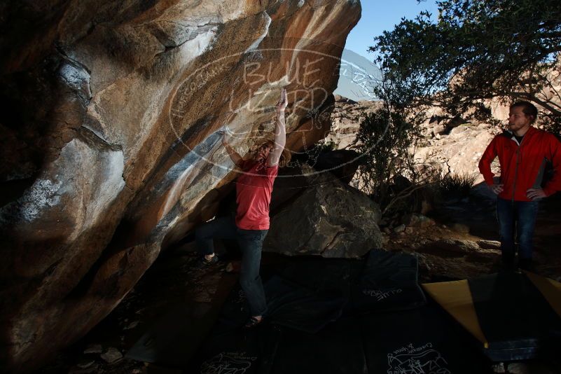 Bouldering in Hueco Tanks on 02/08/2020 with Blue Lizard Climbing and Yoga

Filename: SRM_20200208_1626140.jpg
Aperture: f/8.0
Shutter Speed: 1/250
Body: Canon EOS-1D Mark II
Lens: Canon EF 16-35mm f/2.8 L