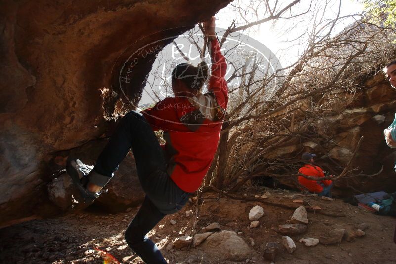 Bouldering in Hueco Tanks on 02/08/2020 with Blue Lizard Climbing and Yoga

Filename: SRM_20200208_1634140.jpg
Aperture: f/6.3
Shutter Speed: 1/250
Body: Canon EOS-1D Mark II
Lens: Canon EF 16-35mm f/2.8 L