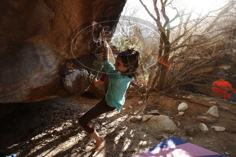 Bouldering in Hueco Tanks on 02/08/2020 with Blue Lizard Climbing and Yoga

Filename: SRM_20200208_1634290.jpg
Aperture: f/6.3
Shutter Speed: 1/250
Body: Canon EOS-1D Mark II
Lens: Canon EF 16-35mm f/2.8 L