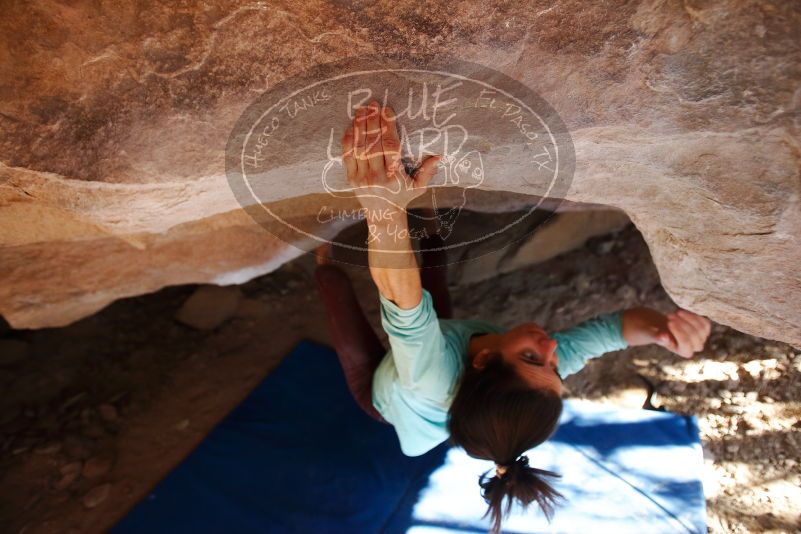 Bouldering in Hueco Tanks on 02/08/2020 with Blue Lizard Climbing and Yoga

Filename: SRM_20200208_1638390.jpg
Aperture: f/3.2
Shutter Speed: 1/250
Body: Canon EOS-1D Mark II
Lens: Canon EF 16-35mm f/2.8 L