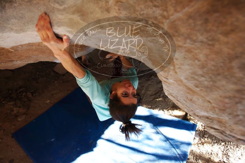 Bouldering in Hueco Tanks on 02/08/2020 with Blue Lizard Climbing and Yoga

Filename: SRM_20200208_1641060.jpg
Aperture: f/4.0
Shutter Speed: 1/250
Body: Canon EOS-1D Mark II
Lens: Canon EF 16-35mm f/2.8 L