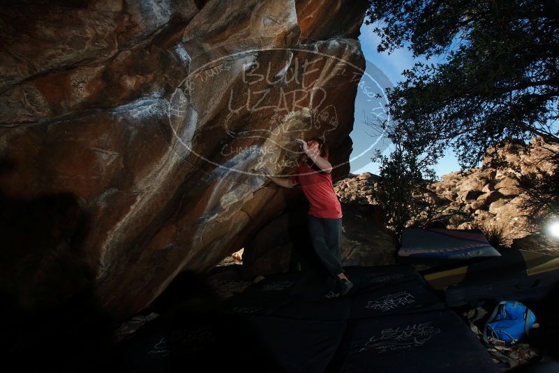 Bouldering in Hueco Tanks on 02/08/2020 with Blue Lizard Climbing and Yoga

Filename: SRM_20200208_1740090.jpg
Aperture: f/8.0
Shutter Speed: 1/250
Body: Canon EOS-1D Mark II
Lens: Canon EF 16-35mm f/2.8 L