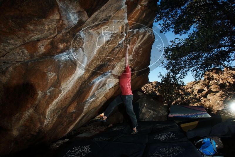 Bouldering in Hueco Tanks on 02/08/2020 with Blue Lizard Climbing and Yoga

Filename: SRM_20200208_1747320.jpg
Aperture: f/8.0
Shutter Speed: 1/250
Body: Canon EOS-1D Mark II
Lens: Canon EF 16-35mm f/2.8 L