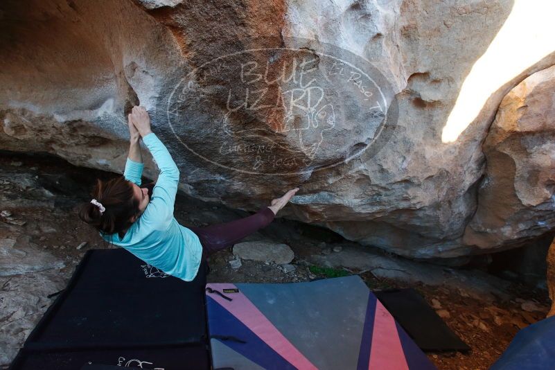 Bouldering in Hueco Tanks on 02/08/2020 with Blue Lizard Climbing and Yoga

Filename: SRM_20200208_1818540.jpg
Aperture: f/4.0
Shutter Speed: 1/250
Body: Canon EOS-1D Mark II
Lens: Canon EF 16-35mm f/2.8 L