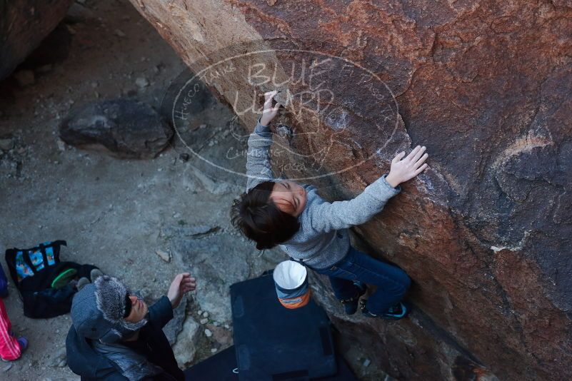 Bouldering in Hueco Tanks on 01/06/2020 with Blue Lizard Climbing and Yoga

Filename: SRM_20200106_1102260.jpg
Aperture: f/4.0
Shutter Speed: 1/250
Body: Canon EOS-1D Mark II
Lens: Canon EF 50mm f/1.8 II