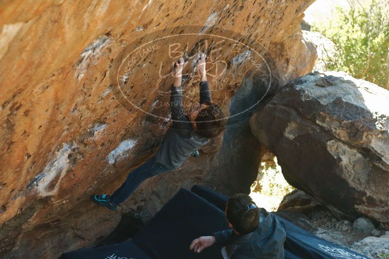 Bouldering in Hueco Tanks on 01/06/2020 with Blue Lizard Climbing and Yoga

Filename: SRM_20200106_1429310.jpg
Aperture: f/4.0
Shutter Speed: 1/320
Body: Canon EOS-1D Mark II
Lens: Canon EF 50mm f/1.8 II