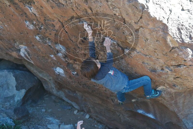 Bouldering in Hueco Tanks on 01/06/2020 with Blue Lizard Climbing and Yoga

Filename: SRM_20200106_1453430.jpg
Aperture: f/4.5
Shutter Speed: 1/320
Body: Canon EOS-1D Mark II
Lens: Canon EF 50mm f/1.8 II