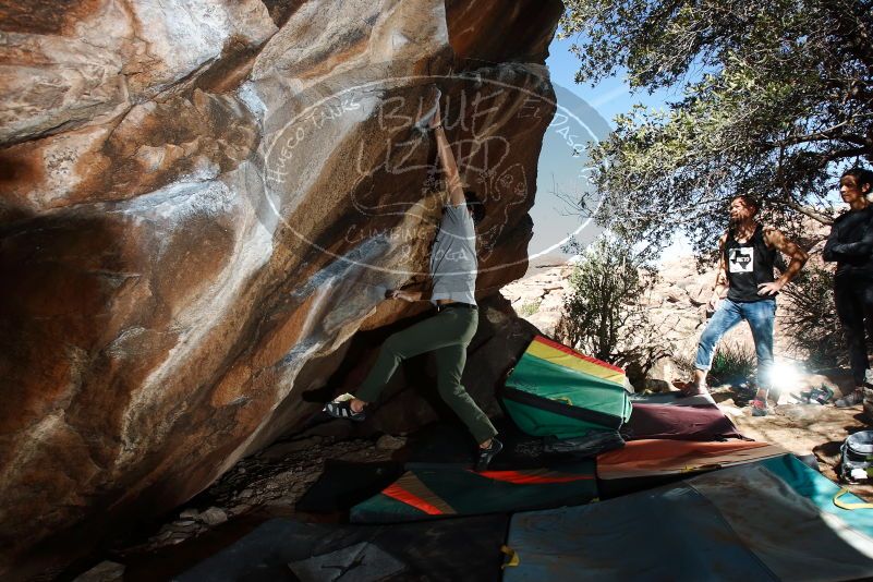 Bouldering in Hueco Tanks on 02/14/2020 with Blue Lizard Climbing and Yoga

Filename: SRM_20200214_1247120.jpg
Aperture: f/8.0
Shutter Speed: 1/250
Body: Canon EOS-1D Mark II
Lens: Canon EF 16-35mm f/2.8 L