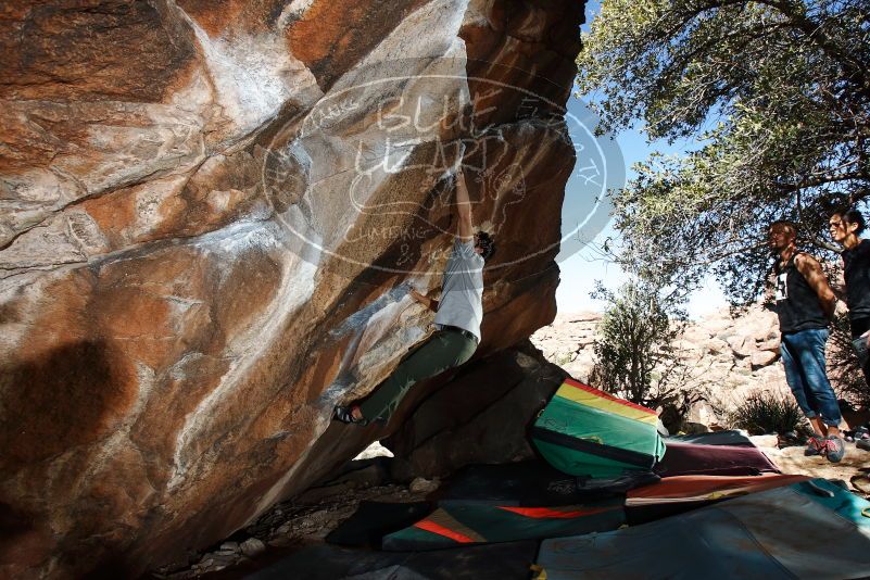 Bouldering in Hueco Tanks on 02/14/2020 with Blue Lizard Climbing and Yoga

Filename: SRM_20200214_1249130.jpg
Aperture: f/8.0
Shutter Speed: 1/250
Body: Canon EOS-1D Mark II
Lens: Canon EF 16-35mm f/2.8 L