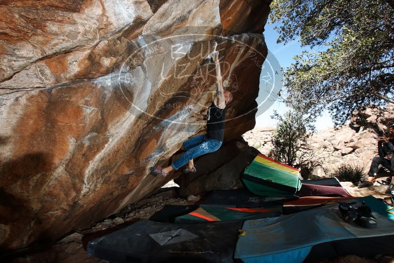 Bouldering in Hueco Tanks on 02/14/2020 with Blue Lizard Climbing and Yoga

Filename: SRM_20200214_1250300.jpg
Aperture: f/8.0
Shutter Speed: 1/250
Body: Canon EOS-1D Mark II
Lens: Canon EF 16-35mm f/2.8 L