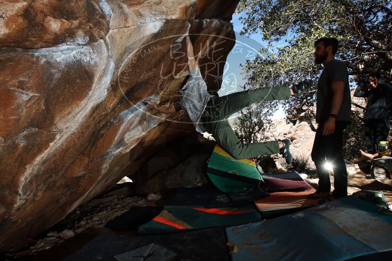 Bouldering in Hueco Tanks on 02/14/2020 with Blue Lizard Climbing and Yoga

Filename: SRM_20200214_1300221.jpg
Aperture: f/8.0
Shutter Speed: 1/250
Body: Canon EOS-1D Mark II
Lens: Canon EF 16-35mm f/2.8 L