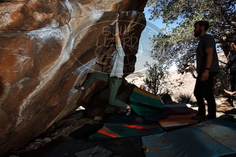 Bouldering in Hueco Tanks on 02/14/2020 with Blue Lizard Climbing and Yoga

Filename: SRM_20200214_1300240.jpg
Aperture: f/8.0
Shutter Speed: 1/250
Body: Canon EOS-1D Mark II
Lens: Canon EF 16-35mm f/2.8 L